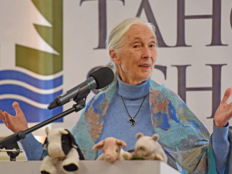 Jane Goodall tickets
